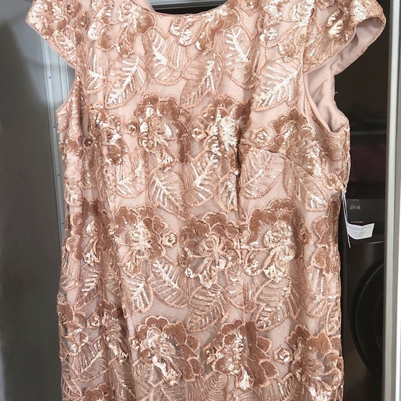 Alex Evenings Dresses Size 8w Formal Dress Poshmark